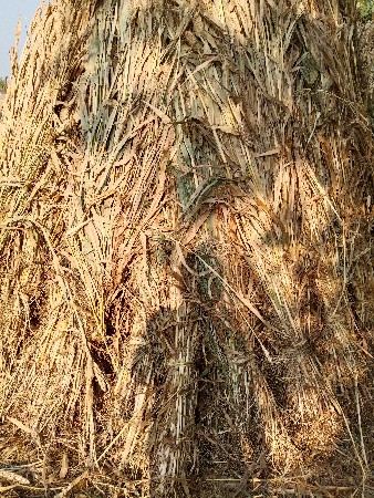 વેચવાનું  છે   નિરણના પુરા