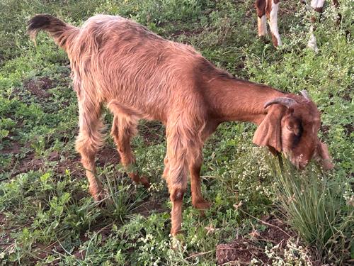 થંબનેલ 3