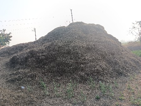 ભૂકો બેસવાનો સે