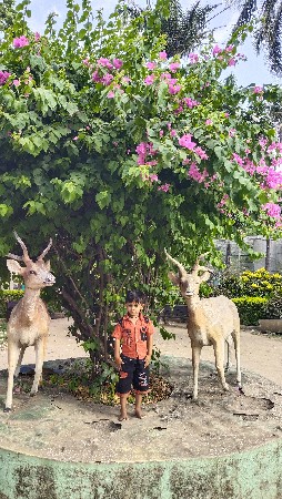 જમીન વેચવાની છે