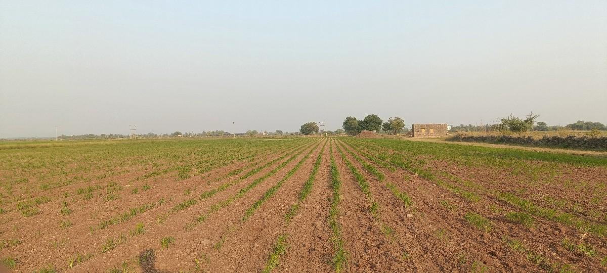 જમીન વેસવા ની છે