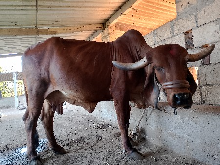 थंबनेल 2