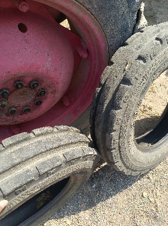 થંબનેલ 3