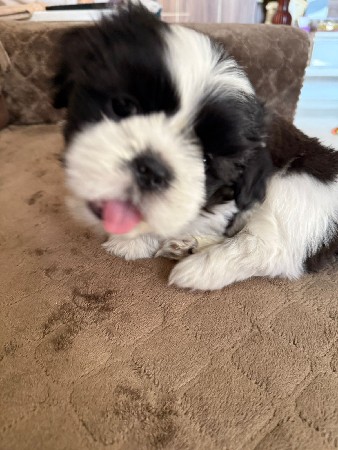 थंबनेल 3