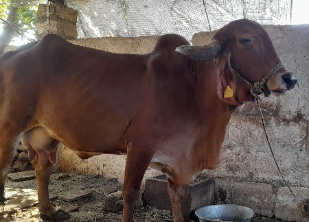 थंबनेल 2