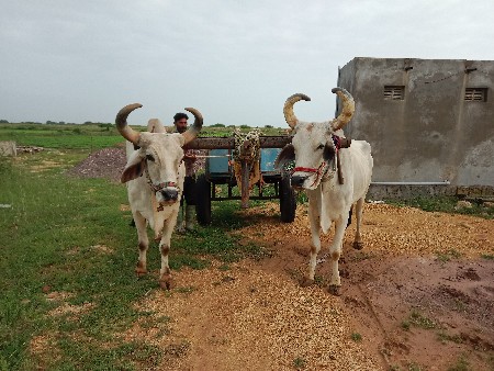 थंबनेल 3