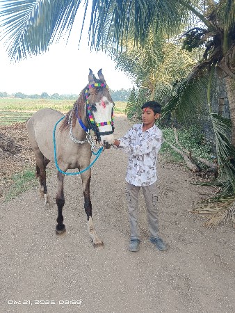 vaseri vechvani chhe