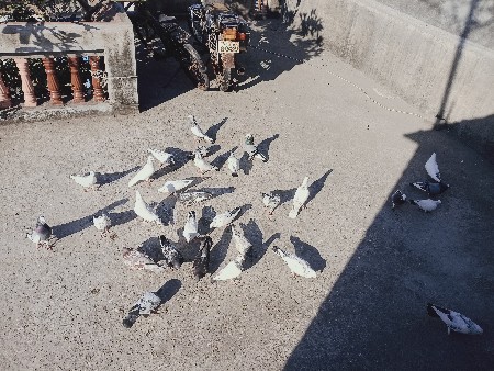 થંબનેલ 2