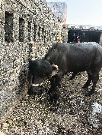 थंबनेल 2