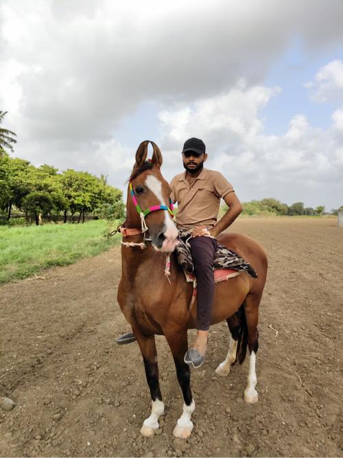 Kumed ghodi vechvani che