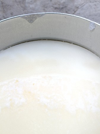 દેશી ગાયનું ઘી વેચવાનું છે