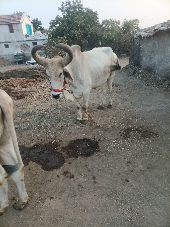 थंबनेल 3