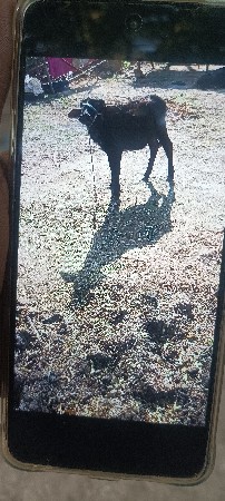 થંબનેલ 3