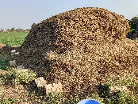 માંડવી નો ભુકો વેચવા નો છે