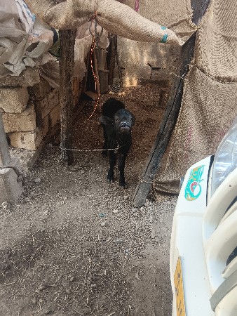 थंबनेल 3