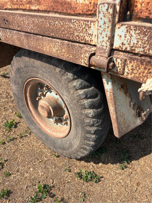 થંબનેલ 3