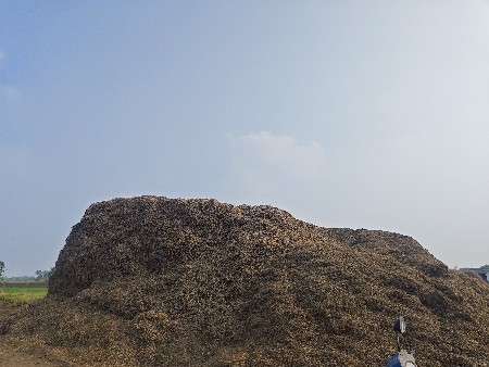 મગફળી નો ચારો વેચવાનો છે