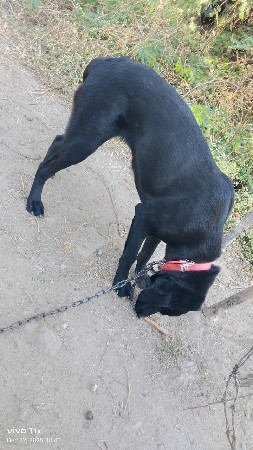 થંબનેલ 2