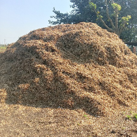 थंबनेल 1