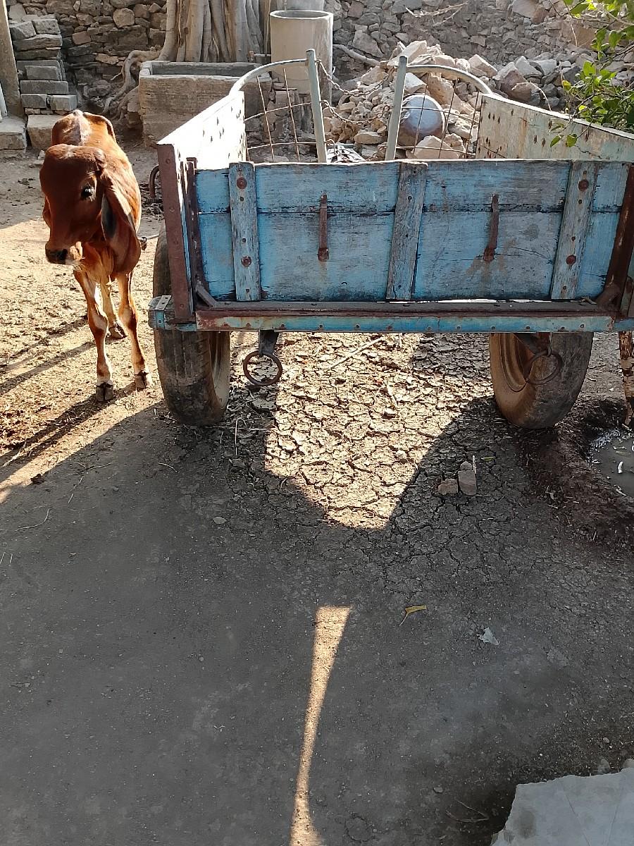 થંબનેલ 2