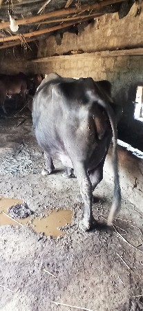 थंबनेल 2