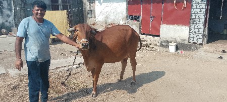 थंबनेल 2