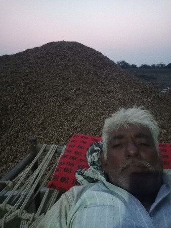 24 નંબર મગફળી વેચવાની છે...