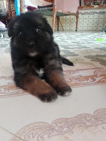 थंबनेल 2