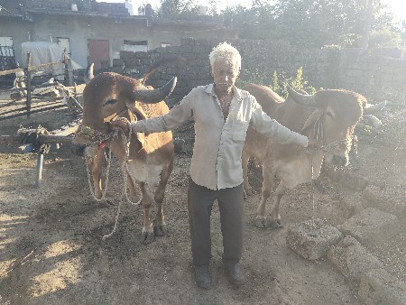 કેવદરા તાલુકો કેશોદ જીલો જુનાગઢ