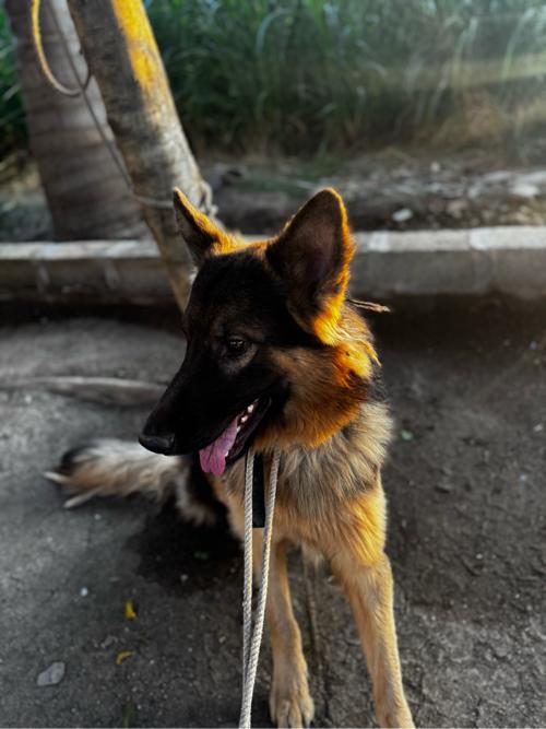 થંબનેલ 3