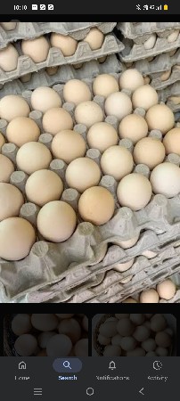 Desi enda liava hoy to call karo