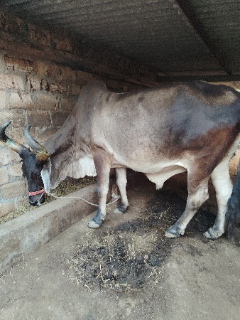 थंबनेल 2