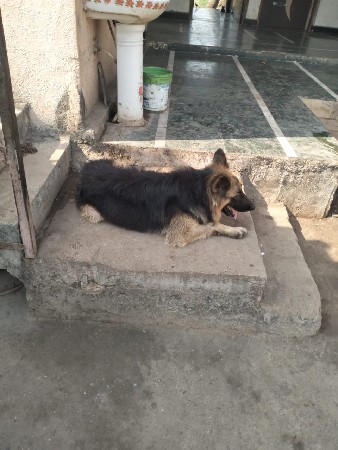 थंबनेल 2