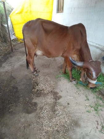 थंबनेल 3