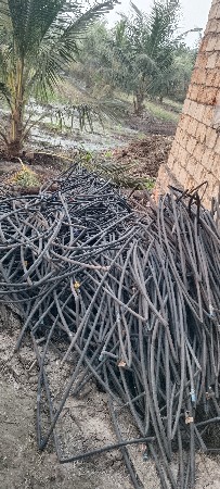 ડીપની નડી વેસવાનીછે