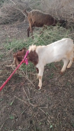 થંબનેલ 3