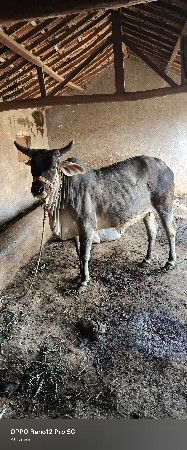 थंबनेल 2