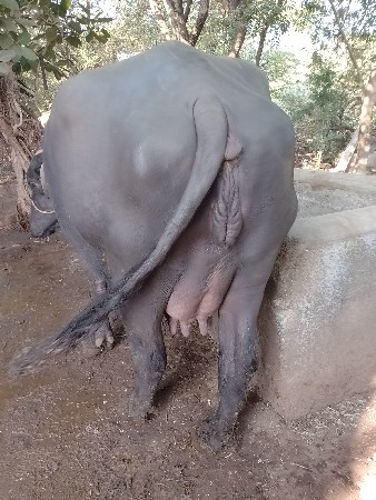 थंबनेल 3