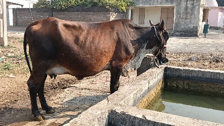 थंबनेल 2