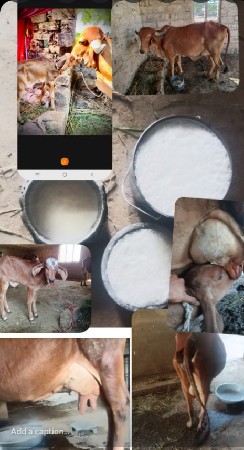 થંબનેલ 1