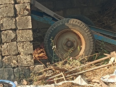 ગાડા ની ઉધ