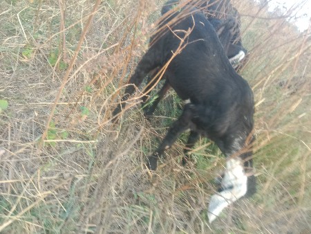 થંબનેલ 2