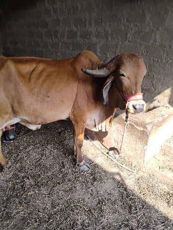 थंबनेल 3