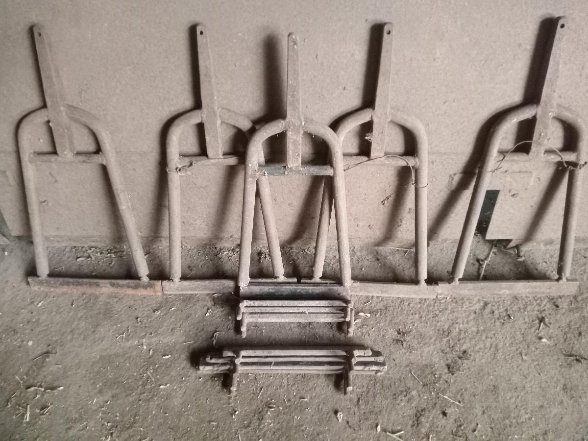 પાંગરાં ,બલુન અને મીંદડી