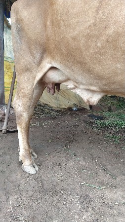 થંબનેલ 3