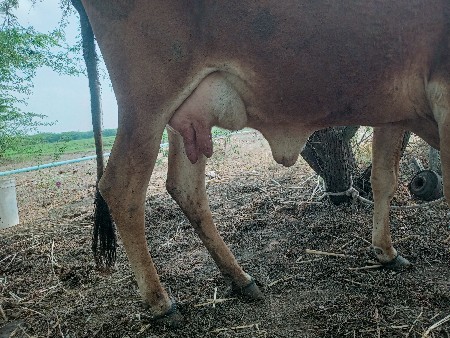 थंबनेल 3