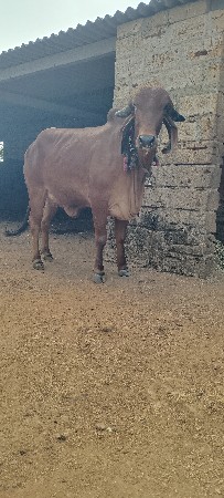 थंबनेल 2