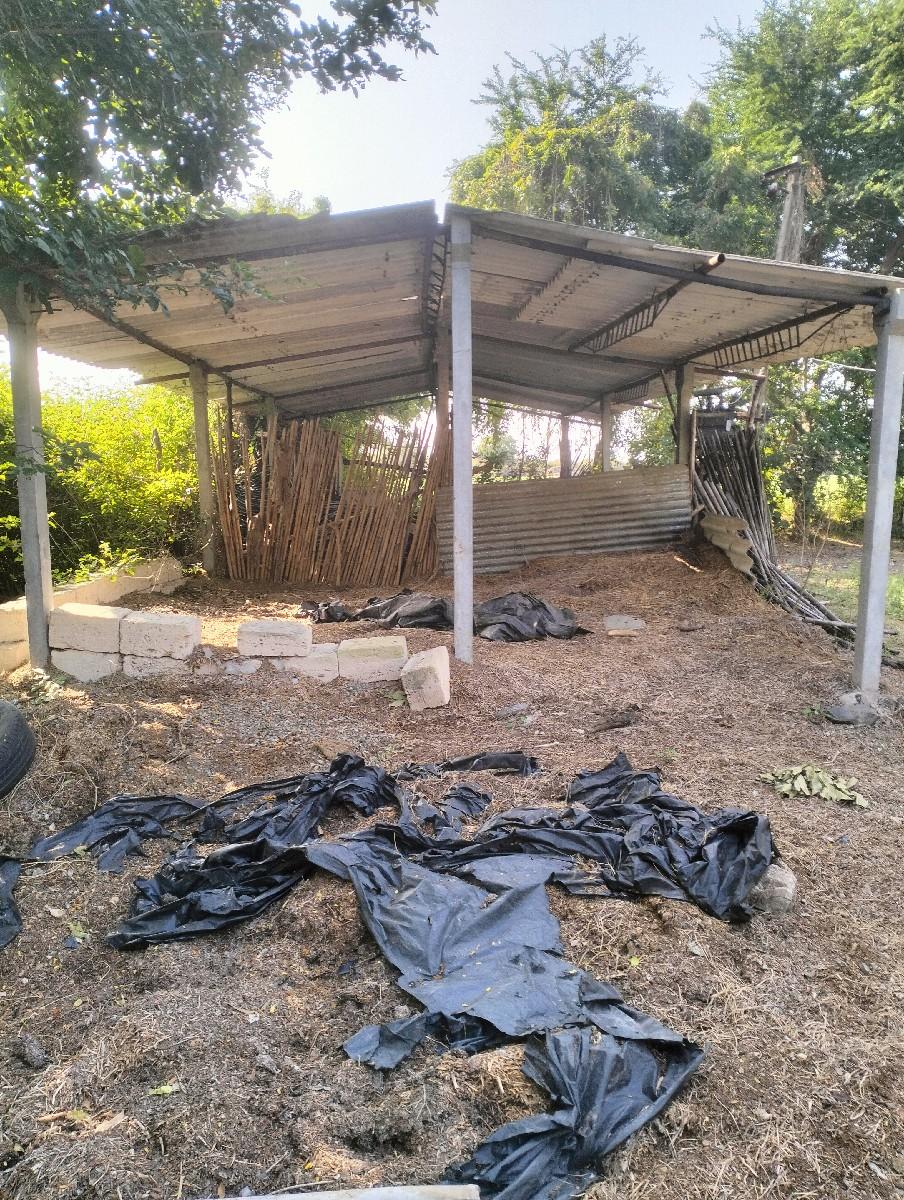 થંબનેલ 3