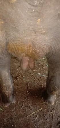 થંબનેલ 4