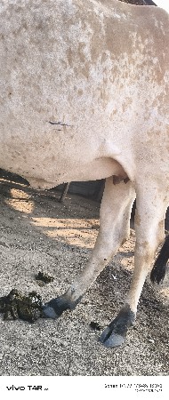 थंबनेल 2